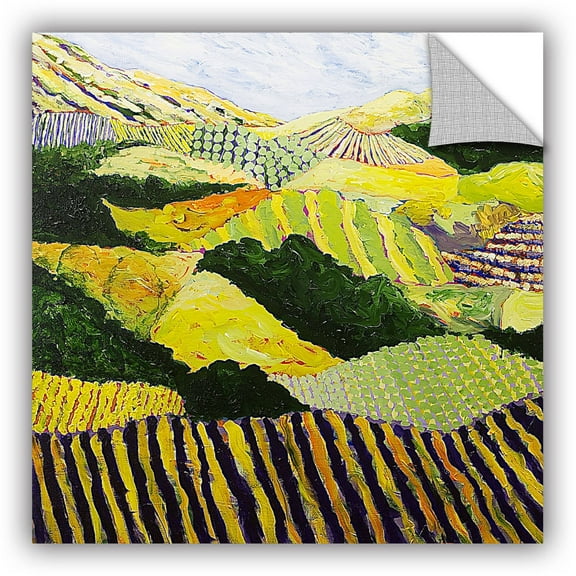ArtAppealz Allan Friedlander "Delta Fields" Removable Wall Art