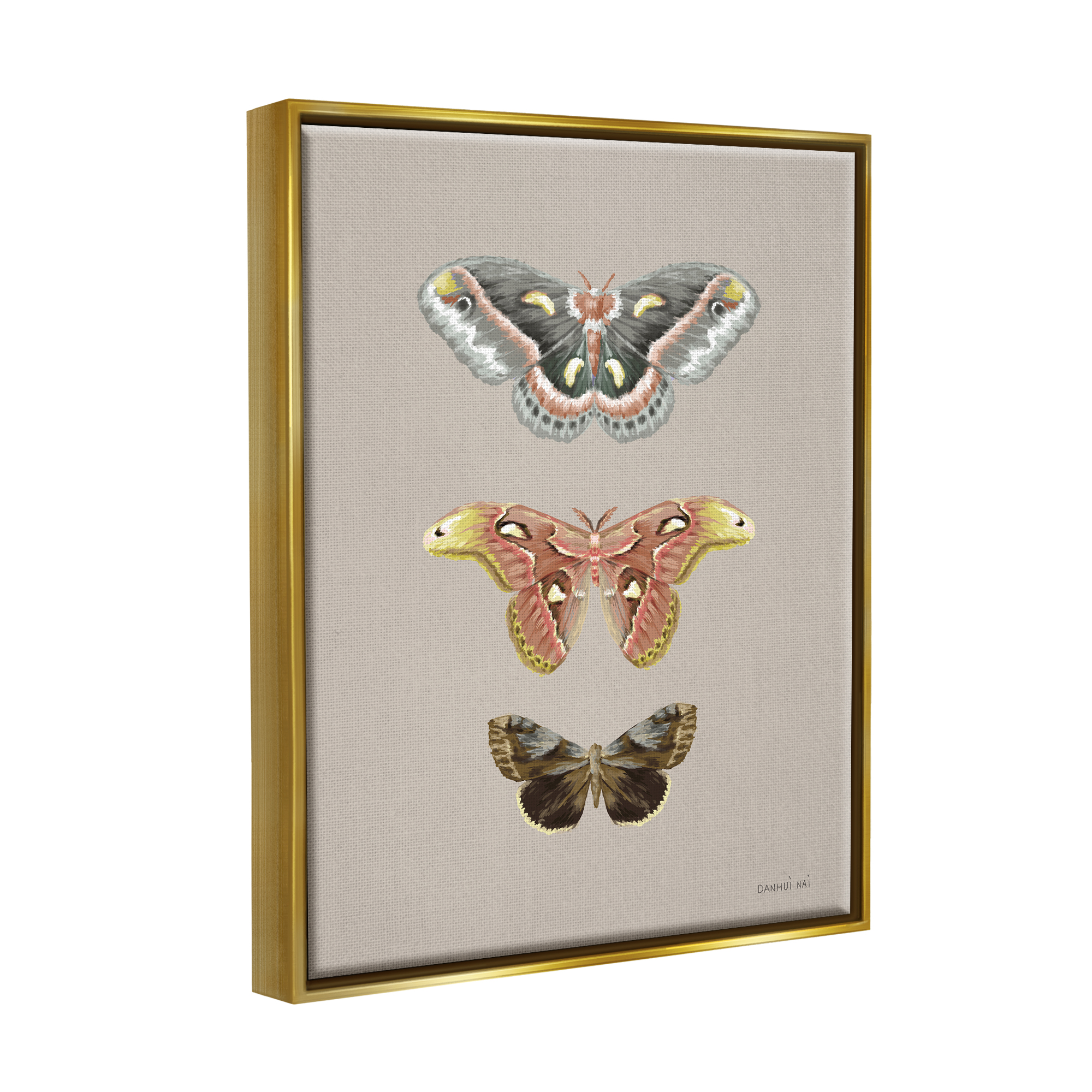 Stupell Industries Vintage Moth Specimens Animals & Insects Painting Gold Floater Framed Art Print Wall Art, 25 x 31