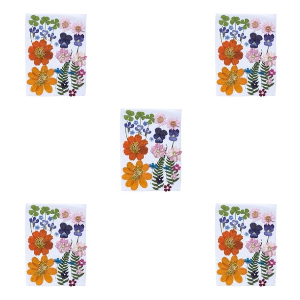 Flores secas naturales Billuyoard 5Conjunto Tipo 3