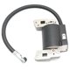 thumbnail image 2 of Bobina de encendido Foohvr Para Briggs & Stratton 395491 395490 397358 697037 298316, 2 of 4