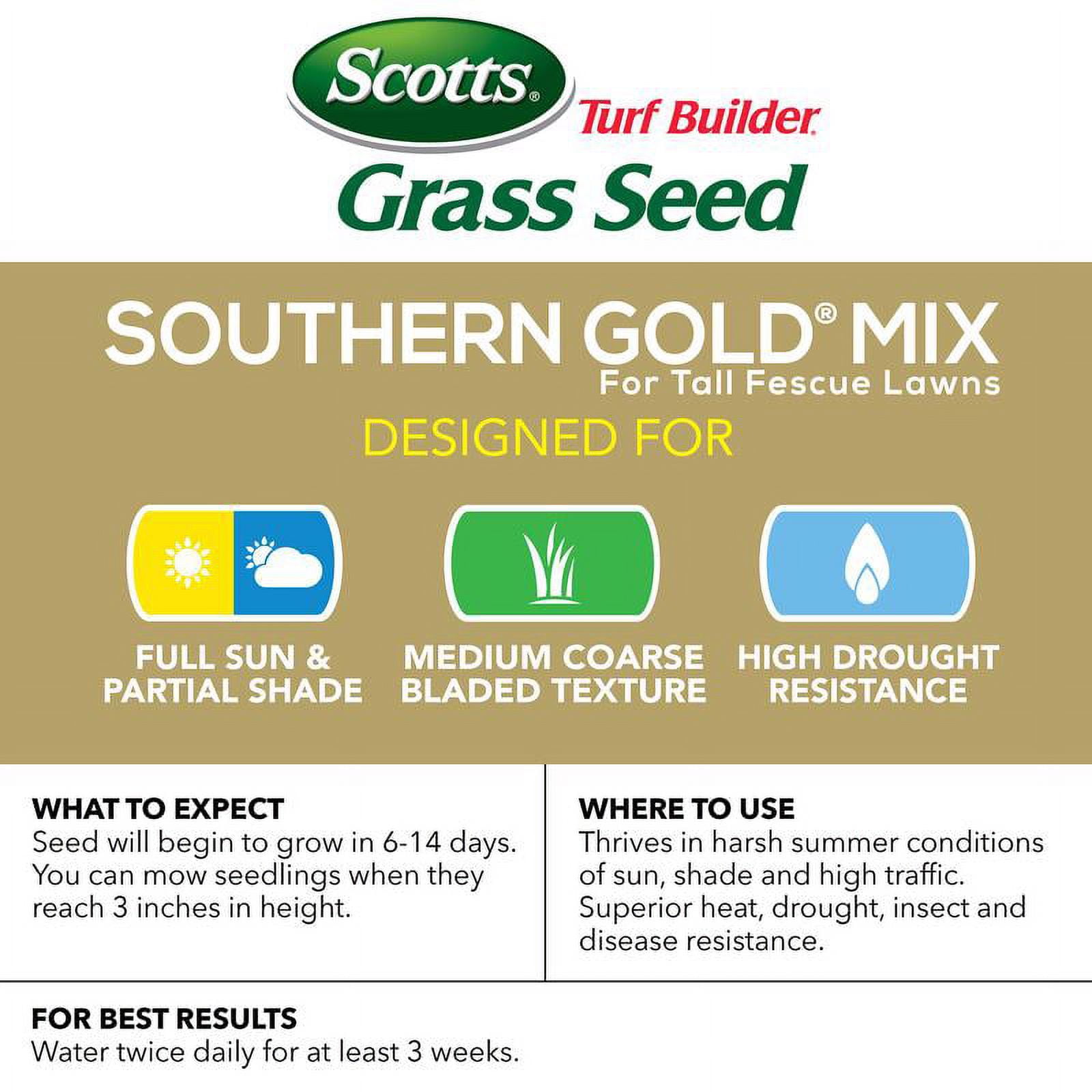 Scotts Turf Builder Tall Fescue Grass Sun or Shade Grass Seed 7 lb