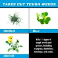 thumbnail image 3 of Ortho GroundClear Weed and Grass Killer Super Concentrate1, 32 fl. oz., 3 of 14