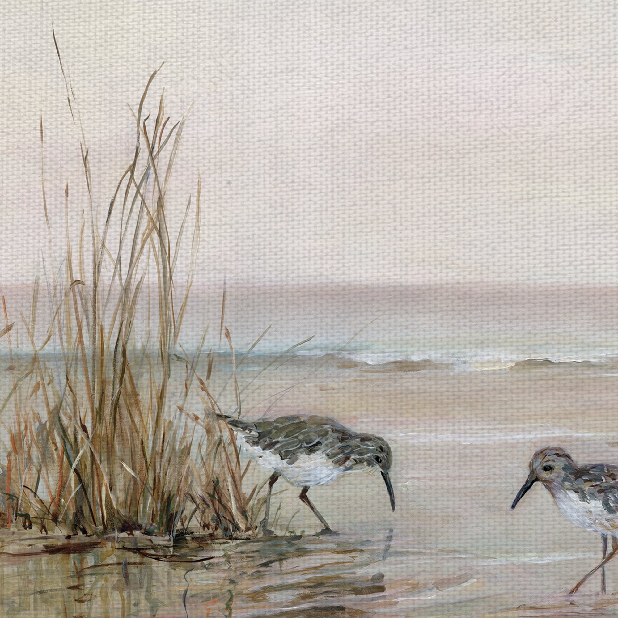 Fine Art Canvas Early Risers I & II Sandpiper Ocean Birds by Sally Swatland Canvas Art Print