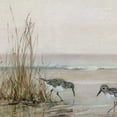 thumbnail image 2 of Fine Art Canvas Early Risers I & II Sandpiper Ocean Birds by Sally Swatland Canvas Art Print, 2 of 2