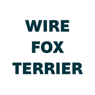 Wire Fox Terrier Pill Butter