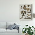 thumbnail image 3 of Trademark Fine Art 'Nature Studies II' Canvas Art by Melissa Wang, 3 of 4