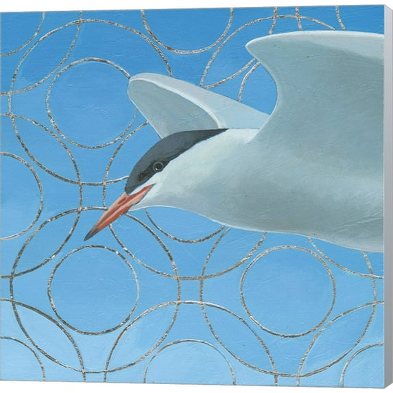 Common Tern by Kathrine Lovell, Canvas Wall Art