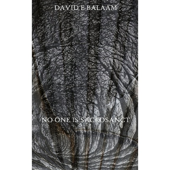 No One Is Sacrosanct, (Paperback)