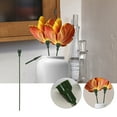 thumbnail image 5 of OUNONA 12 Pcs Arrangement Supplies Flower Arrangement Holder 20.00X1.80X1.80CM Green, 5 of 8
