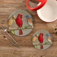 thumbnail image 2 of SKYSONIC Winter Cardinals Bluebirds Pot Holders Trivets, 2 Pcs Heat Resistant Trivets,Tree Branch Cotton Thread Weave Mats for Hot Pads Pans Pot Bowl Teapot for Kitchen Decor, 2 of 7