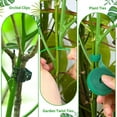 thumbnail image 3 of Baohd Plastic Effective Plant Protection For Monstera Plants Moss Pole Monstera Plant Support Plant Stakes, 3 of 6