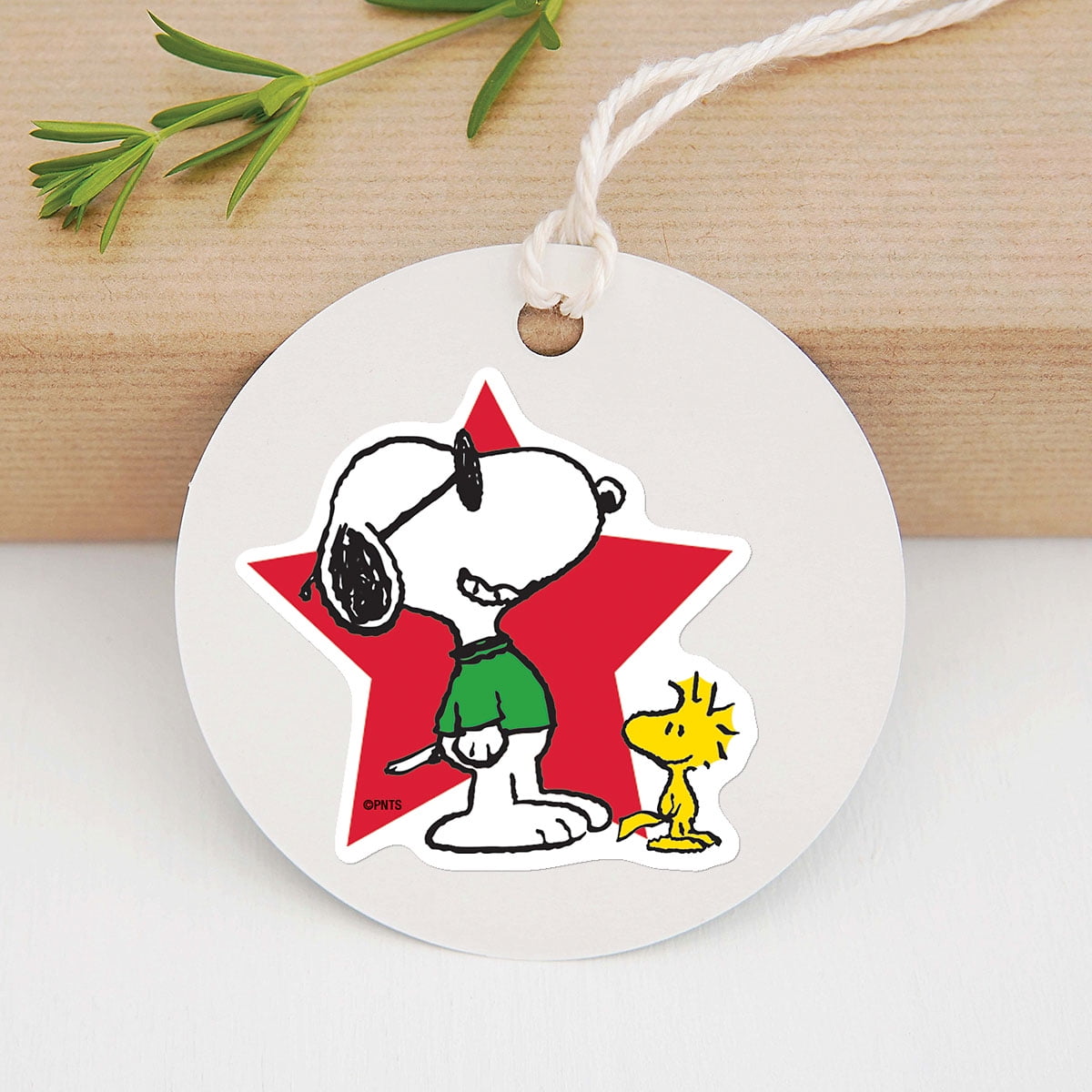 Peanuts® Snoopy Sticker Pack - 2 Sheets, 31 Designs, All Occasion Seals