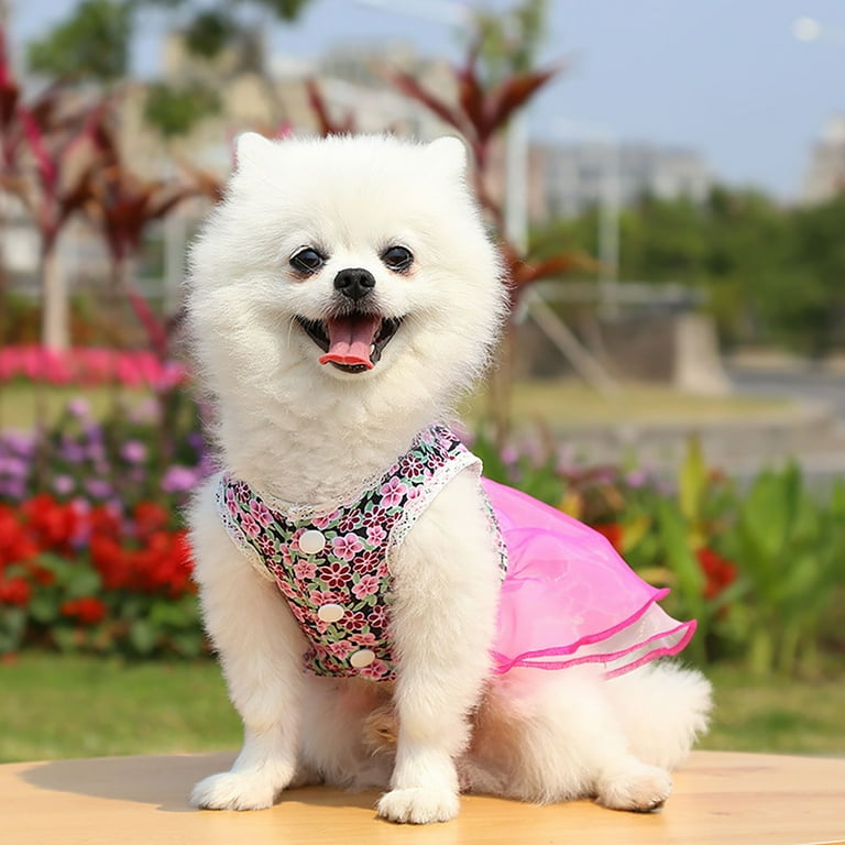 Puppy Clothes for Small Dogs Girl Pack Pet Dresses Spring And Summer Pet Cothes Spring And Summer Cute Pet Supplies Dresses Rose Dress Extra Small Dog Shirts for Girls Walmart