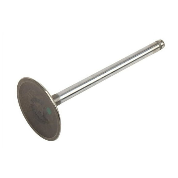 GM Genuine Parts Engine Intake Valve