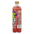 Splash Fizz, Raspberry Blackberry Flavor Sparkling Water Beverage, 20