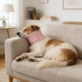 thumbnail image 4 of BotaniNest Collier de Récupération Confortable pour Collier de Récupération Anti-Lick Chirurgical pour Chats après Chirurgie, 4 of 6