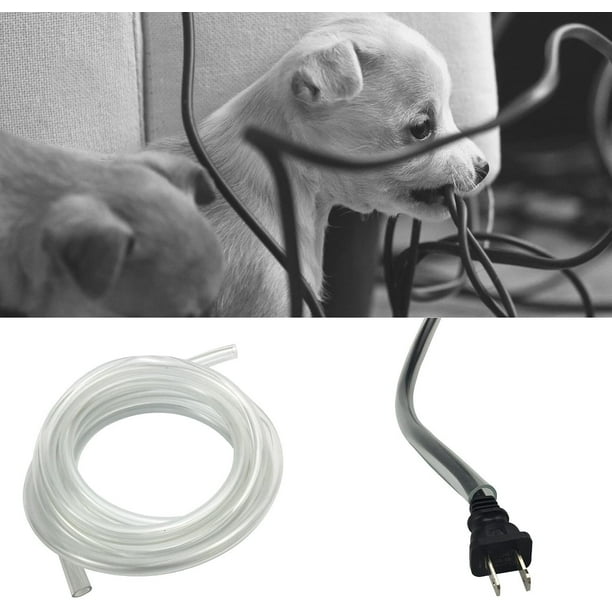 Clear Cord Cover Protects Your Cords and Keeps Your Pets Safe from