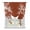 Red, variant on Eastern Leaves Tie Up Curtains for Window, Thermal Insulated Balloon Shade Adjustable Rod Pocket Curtains Valance Panels for Kitchen Bathroom Cafe 52 x 63 Vintage Blue Brown Natural Branches Plants