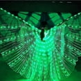 thumbnail image 5 of ZHAOCHENG Nuevas alas LED para adultos, alas de mariposa LED, alas LED que brillan en la oscuridad, disfraces de danza del vientre verdes, 5 of 5