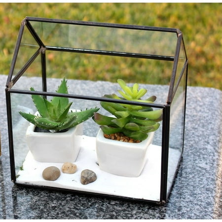 WGV International House Glass Terrarium