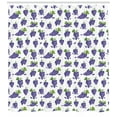 thumbnail image 3 of Ambesonne Grape Shower Curtain, Fruit Yummy Design, 69"Wx84"L, Purple Green, 3 of 3