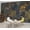 Color 1, variant on Wallpaper Snakes Dark Floral Botanical Vintage Gothic Garden Peel and Stick Wall Murals 69"H x 96"W Removable PVC Wall Paper Self-Adhesive Wall Paintings Art Decor for Bedroom Living Room