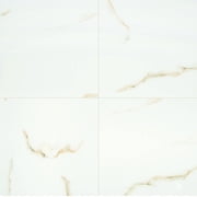 Aria Bianco 24 in. x 24 in. Polished Porcelain Floor and Wall Tile (16 sq. ft. / case)
