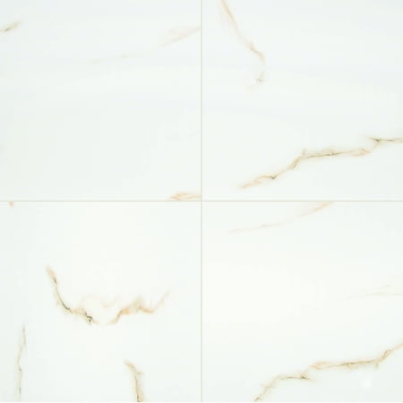 Aria Bianco 24 in. x 24 in. Polished Porcelain Floor and Wall Tile (16 sq. ft. / case)