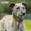 Lurcher Calendar 2018 - Dog Breed Calendar - Wall Calendar 2017-2018