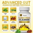 thumbnail image 2 of Candida Cleanse - with Oregano Leaf, Wormwood, Black Walnut, Caprylic Acid - Promotes Gut Detox & Cleansing, Improves Digestion - 60 Capsules, 2 of 7