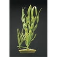 thumbnail image 1 of Marina Corkscrew Vallisneria 8 in. decorative plastic plant, 1 of 1