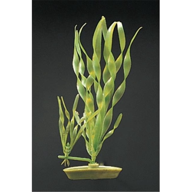 Marina Corkscrew Vallisneria 8 in. decorative plastic plant