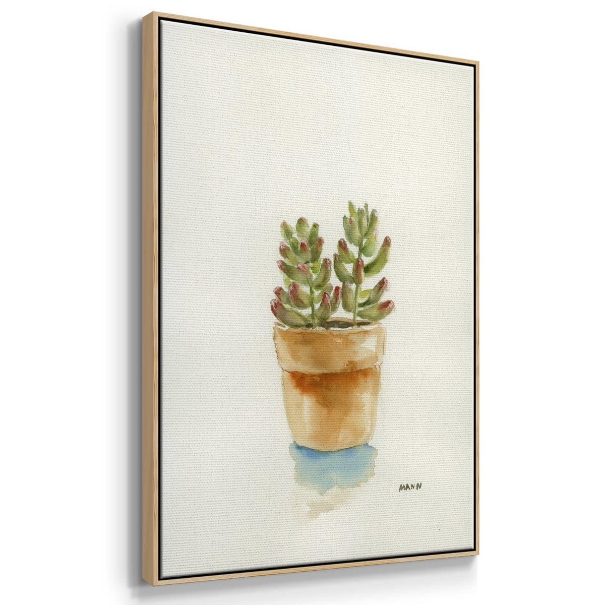 Succulent III Framed Premium Gallery Wrapped Canvas - Ready to Hang - 17 x 25 - Natural Wood Floating Frame