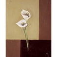 thumbnail image 3 of Hedy 12x14 Black Modern Framed Museum Art Print Titled - Calla lilly on brown, 3 of 5