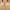 Khaki, variant on Amidoa Plus Size Womens Bras Push up Wireless Full Coverage Large Bust Bra Womens Bralettes 46