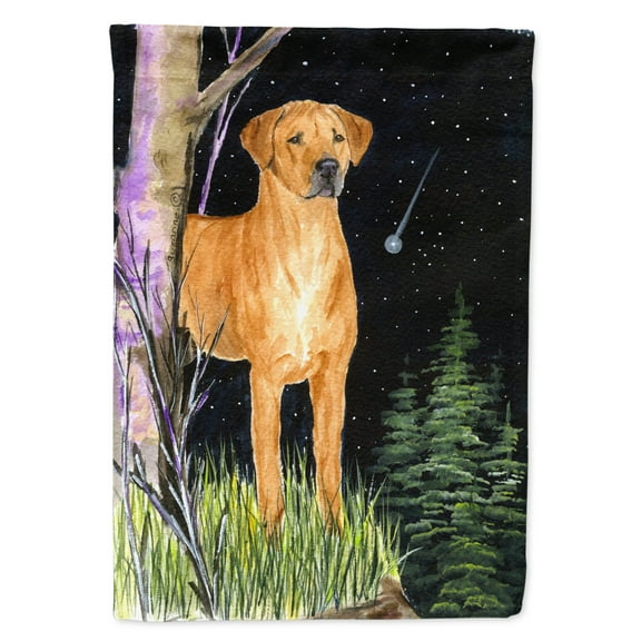 Carolines Treasures SS8479-FLAG-PARENT Starry Night Rhodesian Ridgeback Flag  multicolor