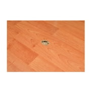Liquid Leather, Multi Colored, Vinyl Floor and Tile Repair Kit, 1.00 x 1.00 x 1.00