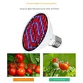 thumbnail image 3 of E27 300Leds Plant Grow Lamp Led Full Spectrum Growth Light Bulbs Seedling Flower Phyto Lamp for Indoor Hydroponic Plants, 3 of 6