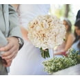 thumbnail image 2 of 10pcs Hydrangea Artificial Flowers Ivory White Fake Hydrangea Silk Flowers Heads with Stems Faux Flowers Centerpiece Table Decorations for DIY Wedding Baby Shower Party Shop Home (Ivory), 2 of 5