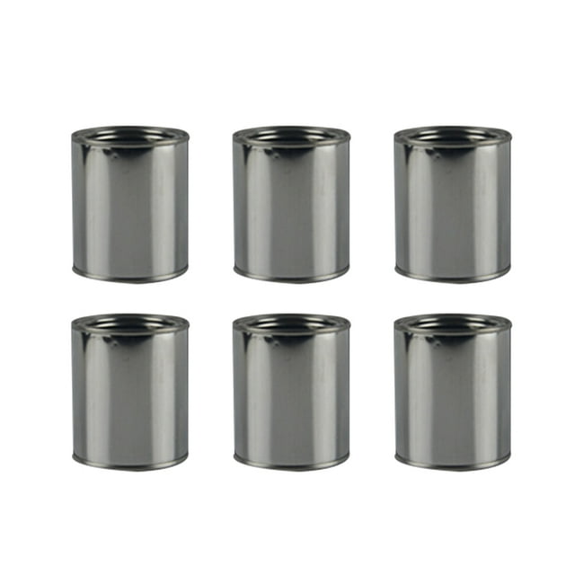 6 Pcs Boîtes de Peinture Rondes en Fer Rangement Pratique pour Peinture Conteneur d'Encre Durable (0.3L)