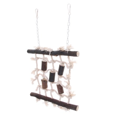 Hamster Climbing , Small , Kinds of Bird
