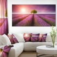 thumbnail image 1 of Ciel Violet au-Dessus d'Un Superbe Champ de Lavande - Impression d'Art Floral sur Toile, 1 of 1