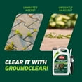 thumbnail image 4 of Ortho GroundClear Weed and Grass Killer with Comfort Wand, Kills Moss and More, 1 gal., 4 of 15
