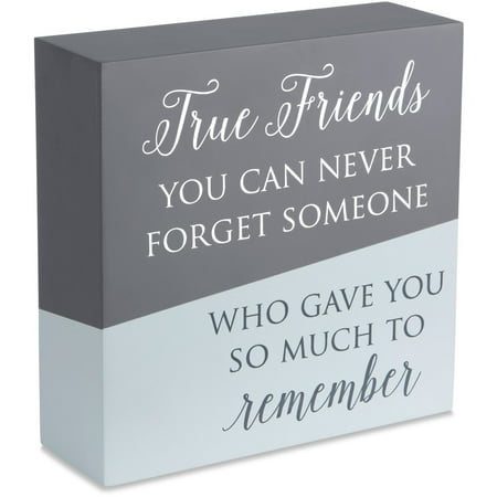 Pavilion - True Friends - You Can Never Forget Someone Who Gave You so Much to Remember 6 Inch (Best Way To Forget Someone)