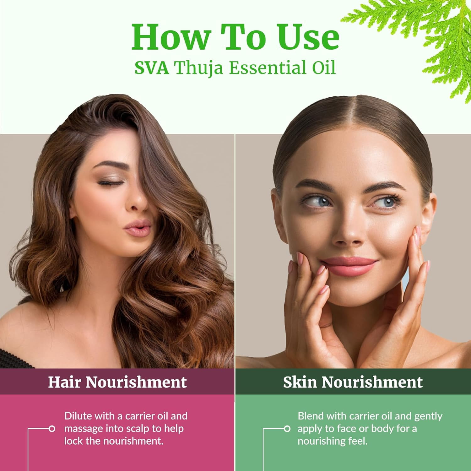 SVA Thuja Essential Oil – 4 Fl Oz – 100% Natural Thuja Oil - for Diffuser, Hair Care, Face, Skin Care, Aromatherapy, Scalp and Body Massage, Soap and Candle Making – with Dropper