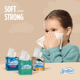 thumbnail image 4 of Scotties Everyday Comfort 2-Ply Facial Tissue, 64 Sheets, 4 of 8