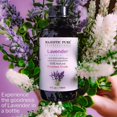 thumbnail image 2 of Pure Lavender Essential Oil with Premium Grade, for Aromatherapy, Massage and Topical uses, 4 fl oz, 2 of 5