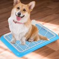 thumbnail image 4 of Pet Toilet Potty Puppy Pee Tray ,Convenient to Open and Change Blue, 4 of 7