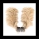 thumbnail image 1 of Pieza de Pelo de MoñO Desordenado, Peine Lateral, Clip en MoñO de Pelo, Postizo Updo Despeinado para Mujeres, Updo Despeinado Ajustable D, 1 of 5