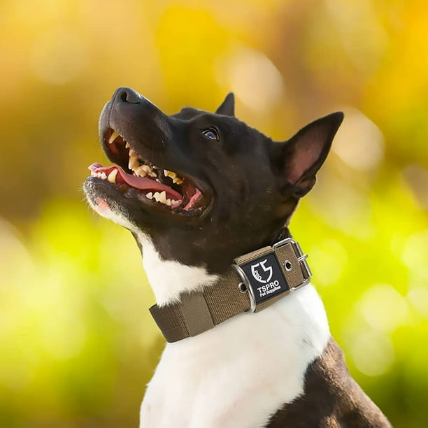 1.5 inch collar discount